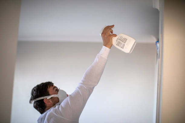 Best Mold Testing  in Ashland, VA