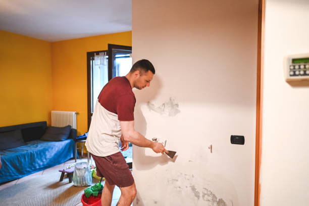 Best Mold Removal Near Me  in Ashland, VA