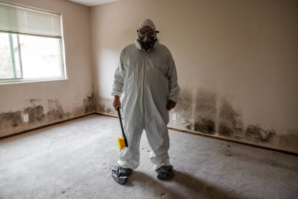 Best Fast Mold Removal  in Ashland, VA